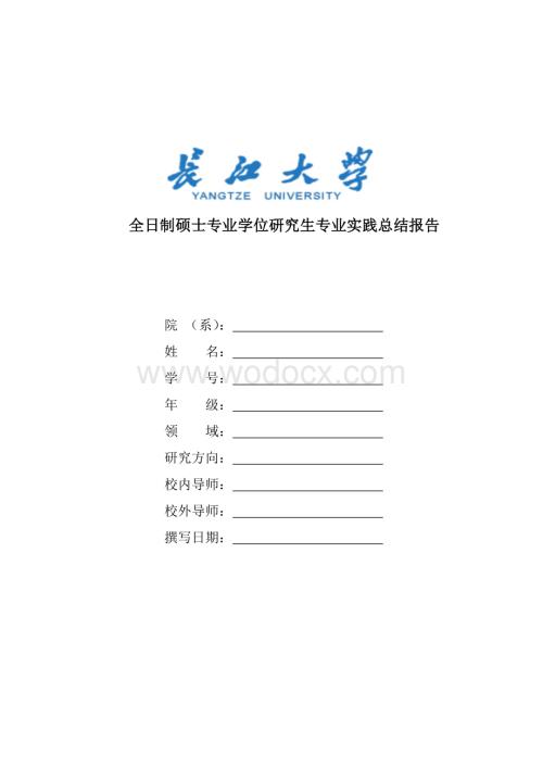 全日制硕士专业学位研究生专业实践总结报告.doc