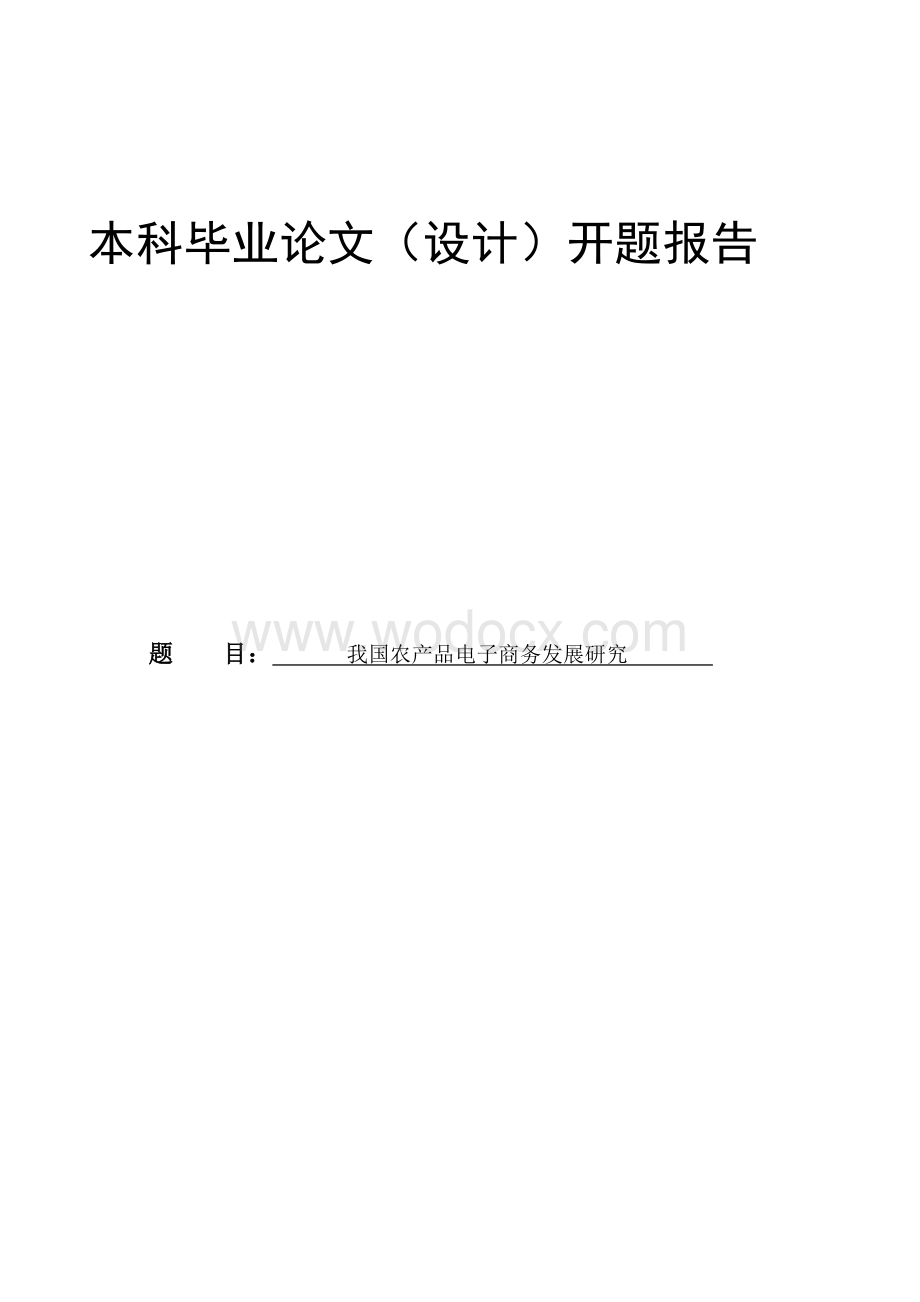 我国农产品电子商务发展研究开题报告.doc_第1页