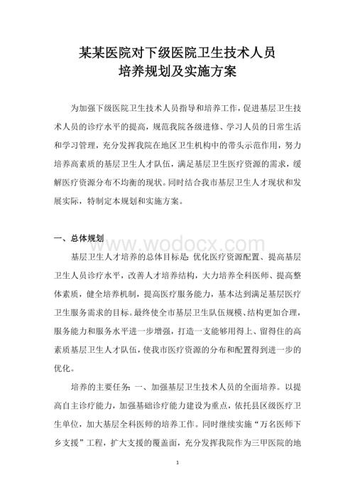 某某医院对下级卫生技术人员培养规划及实施方案和条件.docx