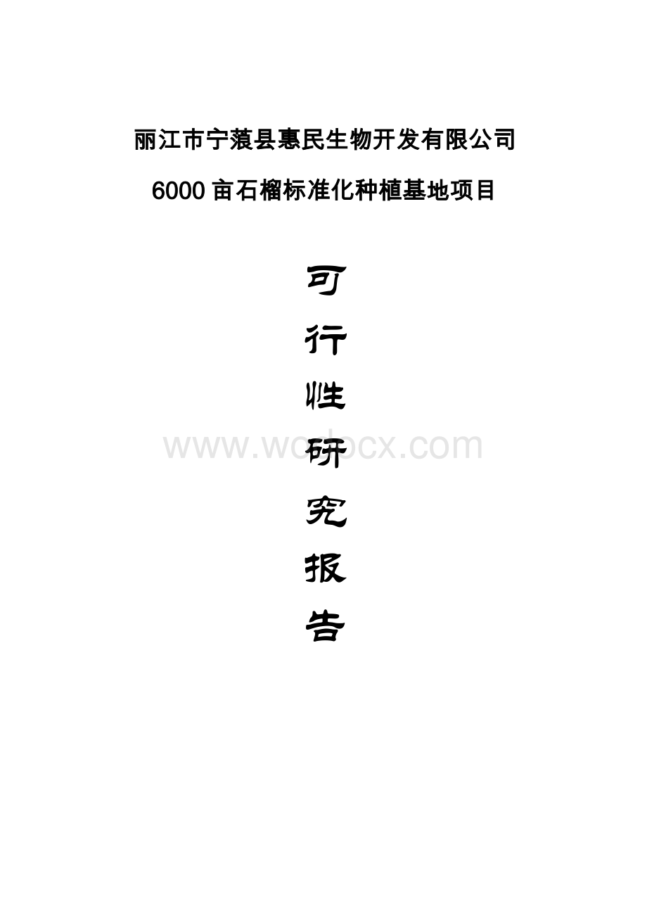 丽江市宁蒗县惠民生物开发有限公司6000亩石榴标准化种植基地项目可行性研究报告.doc_第1页