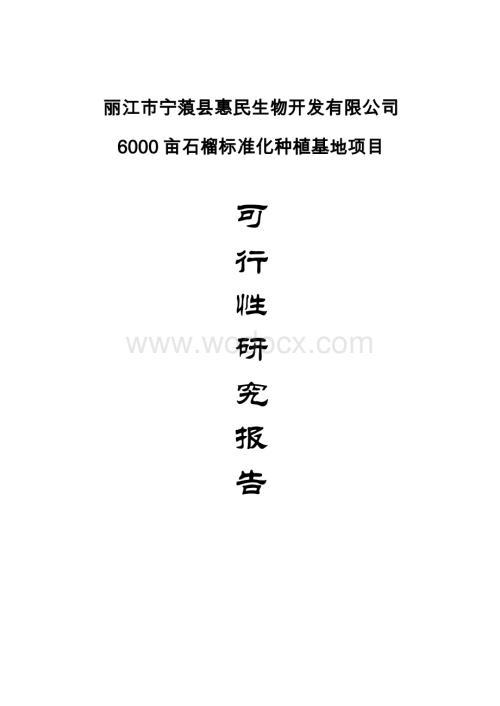 丽江市宁蒗县惠民生物开发有限公司6000亩石榴标准化种植基地项目可行性研究报告.doc