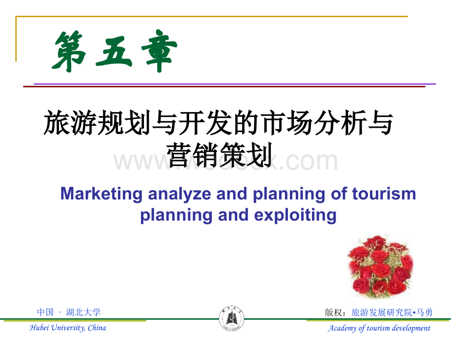 第五章-旅游规划与开发的市场分析与营销策略.ppt_第1页