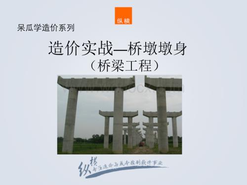 造价实战桥墩（桥梁工程）.pdf