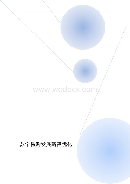 电商行业分析-苏宁易购发展路径优化.docx