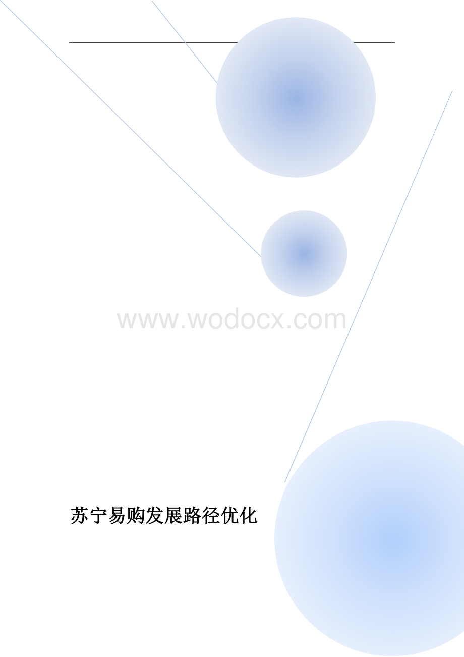 电商行业分析-苏宁易购发展路径优化.docx_第1页