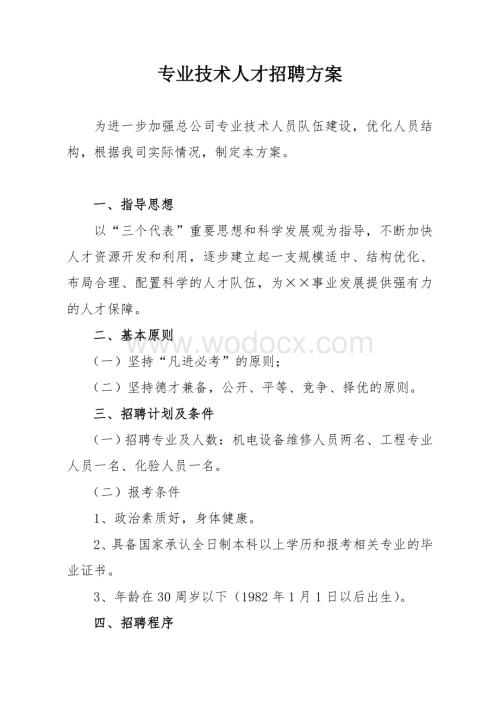 专业技术人才招聘方案.doc