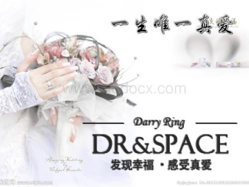 DARRYRING产品介绍.ppt