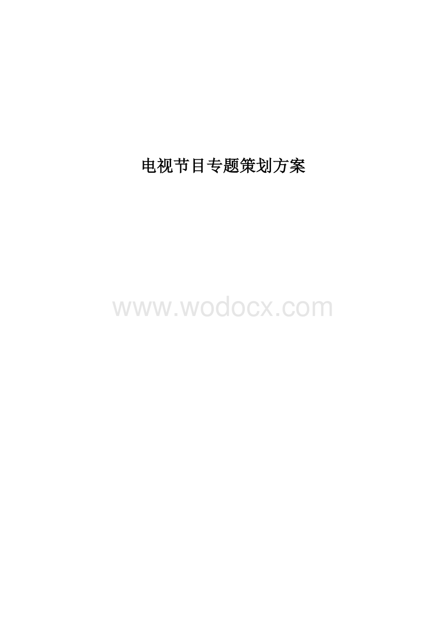 电视节目专题策划方案.docx_第1页