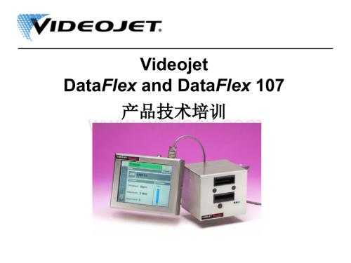 DataFlex-产品技术培训.ppt