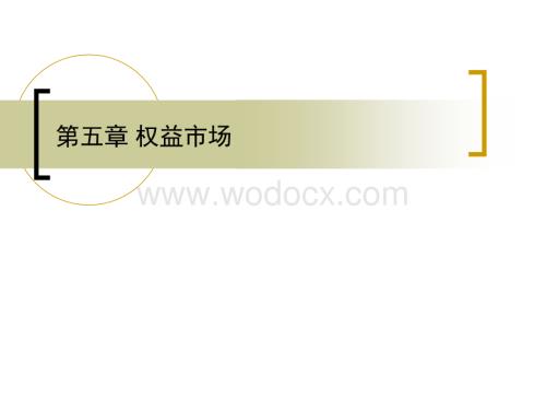Chapter05-权益市场.ppt