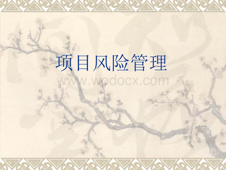 项目风险管理.ppt_第1页