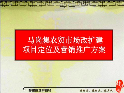 马岗集农贸市场改扩建项目定位及营销方案.ppt