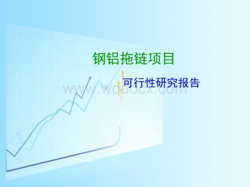 钢铝拖链项目可行性研究报告.ppt