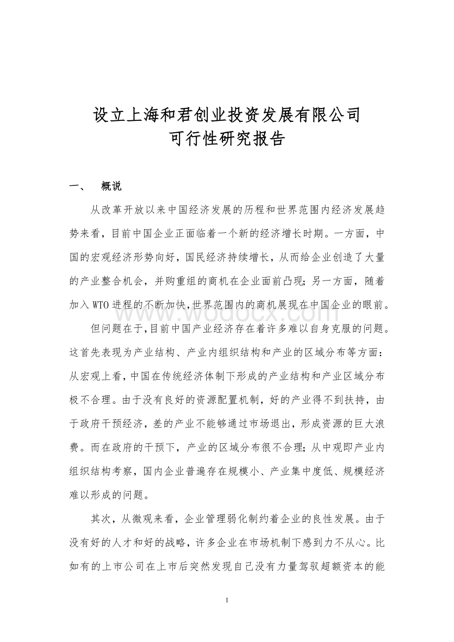 设立投资发展有限公司可行性研究报告.doc_第1页