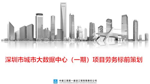 大数据中心项目劳务标前策划（图文并茂）.pdf