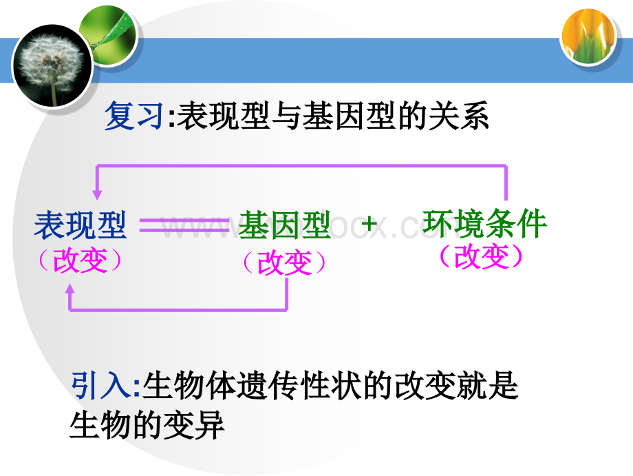 人教版教学课件基因突变和基因重组课件.ppt_第2页