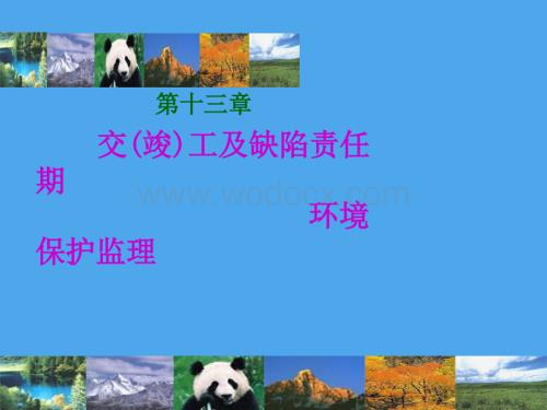 监理13-缺陷期监理.ppt