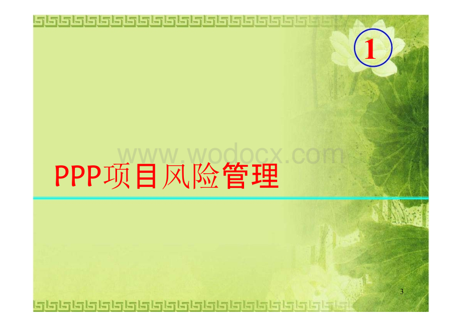 PPP项目风险管理和PPP项目定价机制.pptx_第3页