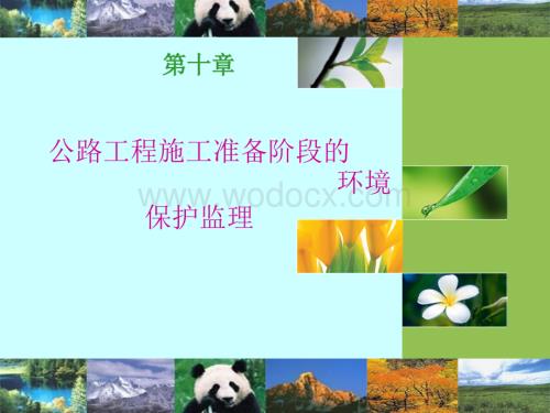 监理10-准备期监理.ppt