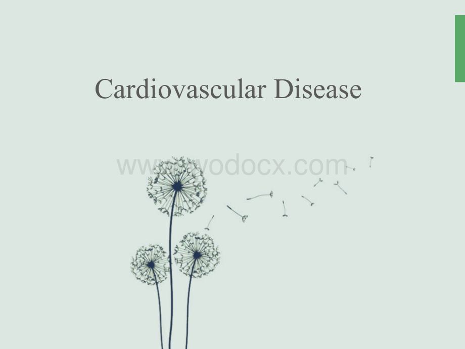 心血管病(英语演讲)Cardiovascular-Disease.ppt_第1页