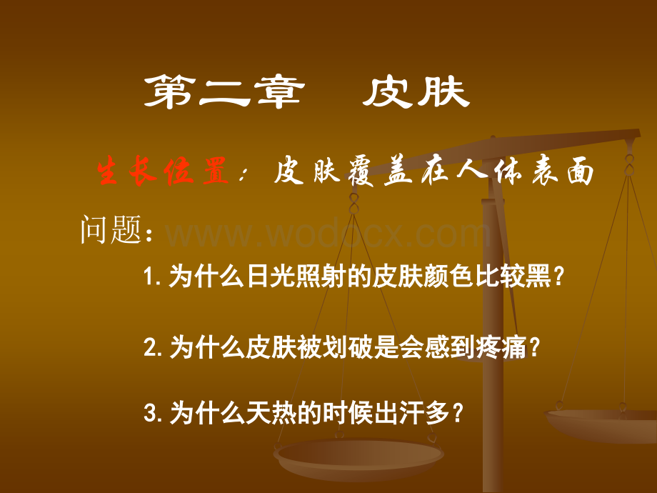 第二章皮肤的介绍课件.ppt_第1页