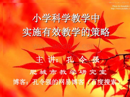 省教育学院科学培训：有效教学与教学细节.ppt