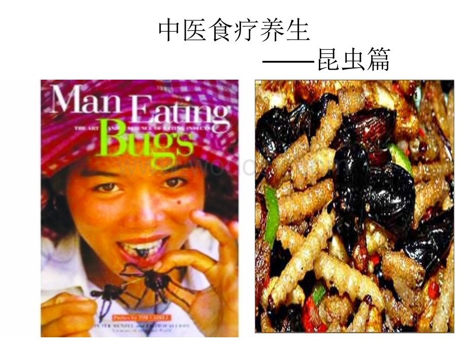 中医食疗养生之昆虫.ppt_第1页