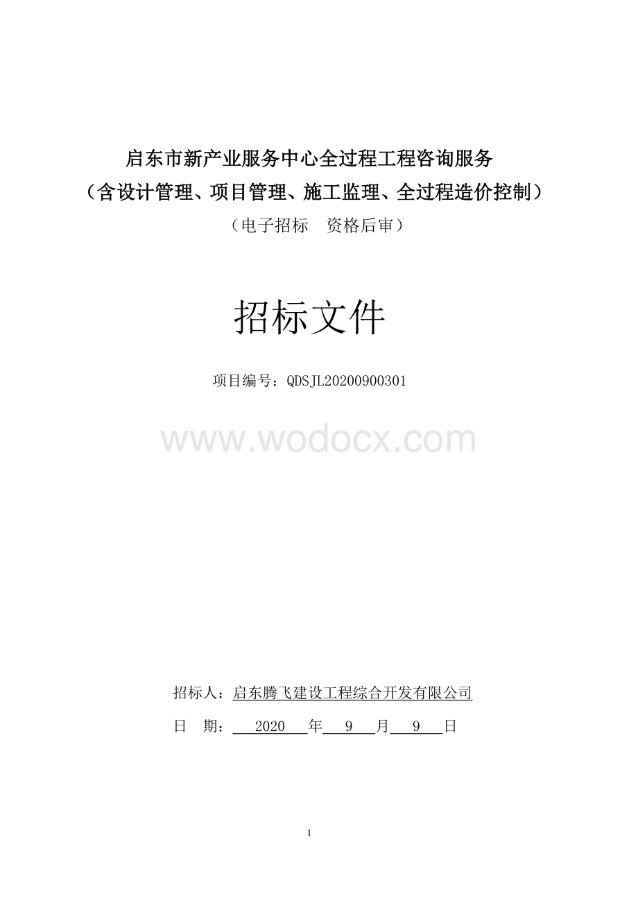 产业服务中心工程咨询服务招标文件.pdf_第1页