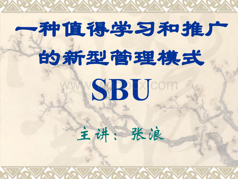 一种值得学习和推广的新型管理模式SBU.ppt_第1页