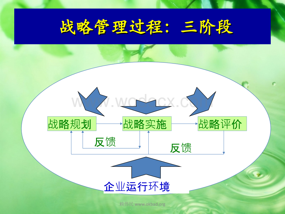 王老吉风云-加多宝企业战略.ppt_第2页