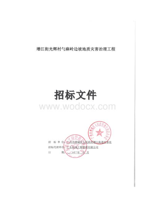 勺麻岭边坡地质灾害治理工程招标文件.doc