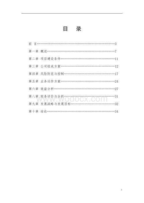 益阳市担保有限公司成立可行性研究报告.doc