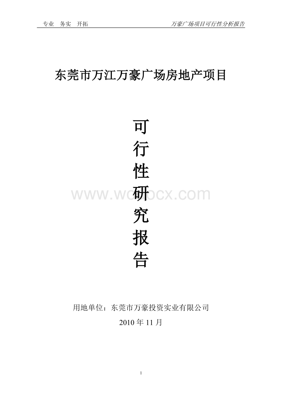 xxx广场可行性研究报告.doc_第1页