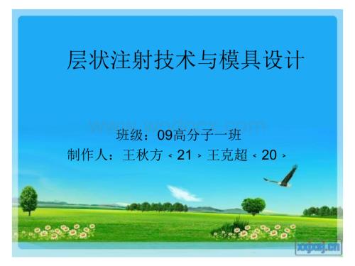 层状注射成型与模具设计.ppt