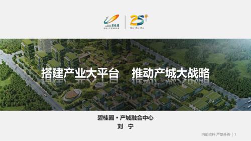 搭建产业大平台推动产城大战略.pdf