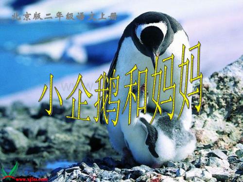 北京版二年级上册《小企鹅和妈妈》PPT课件.ppt