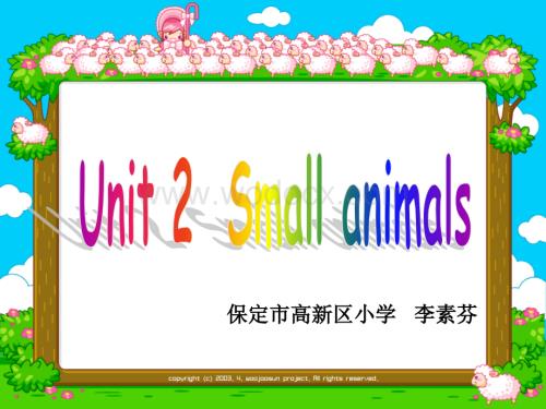 一年级英语Small animals课件1.ppt