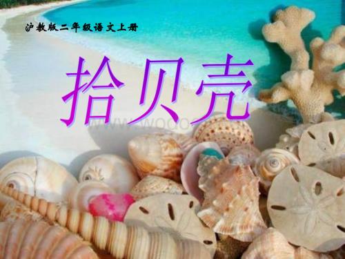 沪教版二年级上册《拾贝壳》课件.ppt