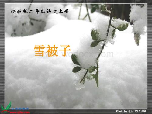 浙教版二年级上册《雪被子》PPT课件1.ppt