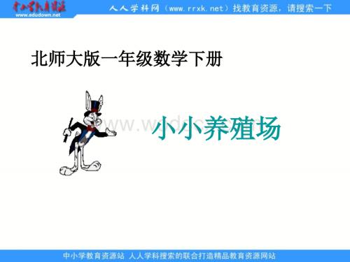 北师大版一年级下册《 小小养殖场 3》ppt课件.ppt