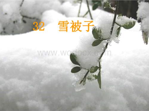 浙教版二年级上册《雪被子》PPT课件2.ppt