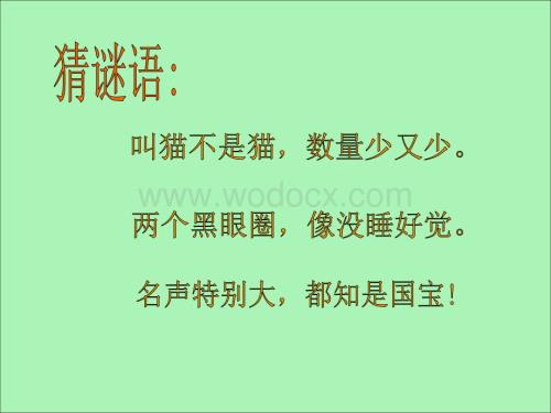苏教版音乐二级上册《快乐的小熊猫》PPT课件.ppt
