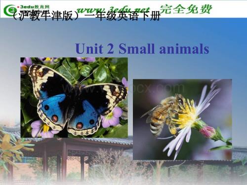 一年级英语Small animals课件2.ppt