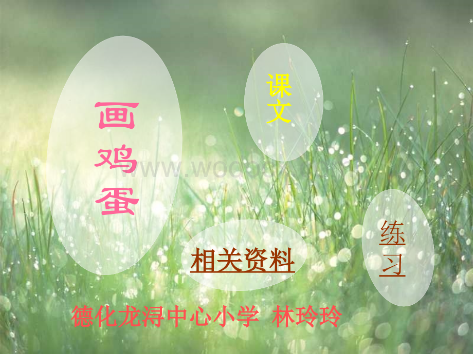 人教版小学二级语文画鸡蛋.ppt_第1页