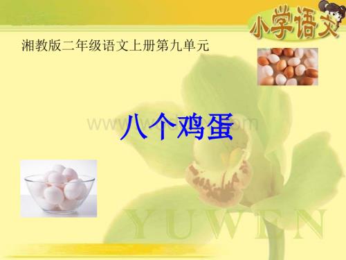 二级语文八个鸡蛋.ppt