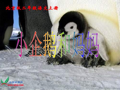 北京版二年级上册《小企鹅和妈妈》1PPT课件.ppt