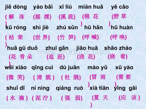 二级语文下册读拼音写汉字.ppt