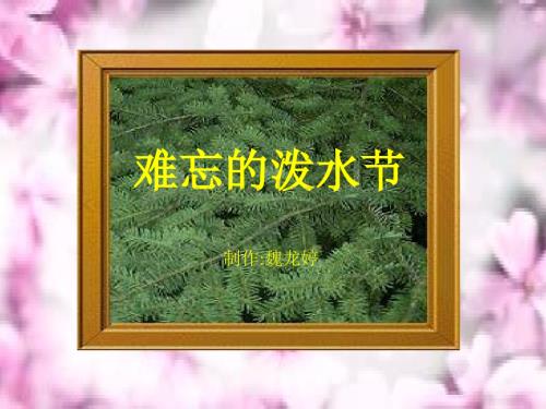 人教版小学二级语文难忘的泼水节10.ppt