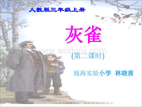 小学三年级语文灰雀第二课时.ppt