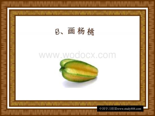 小学三年级语文画杨桃.ppt
